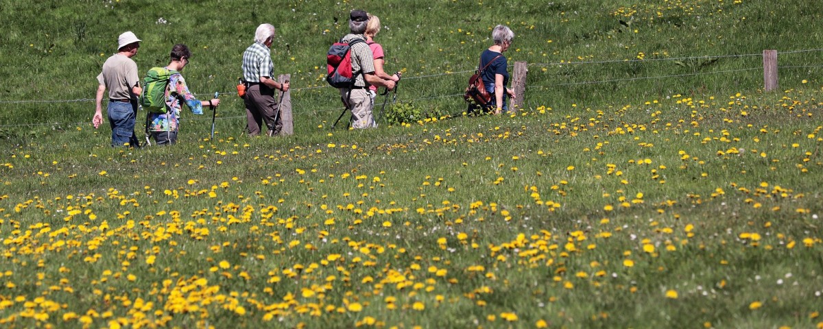 kumWandergruppe kumWandergruppe